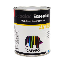 photo pot peinture 1 litre marque caparol produit antirouille 