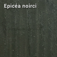 Epicéa Noirci